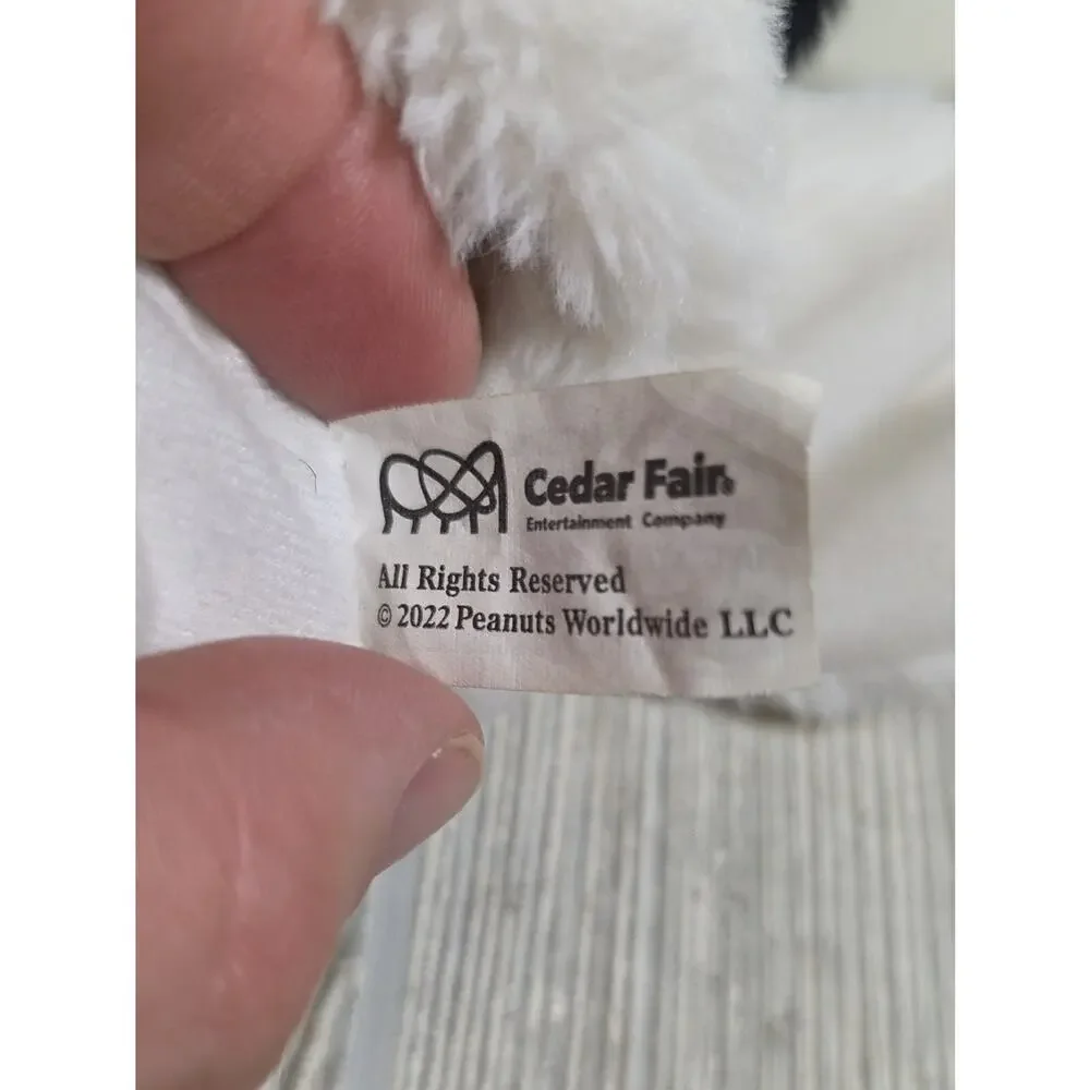 Cedar Fair pre owned